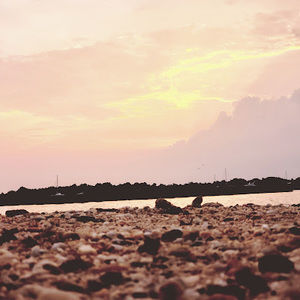 Meet your Posher, Ally